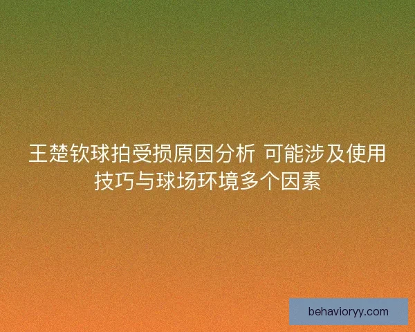 王楚钦球拍受损原因分析 可能涉及使用技巧与球场环境多个因素
